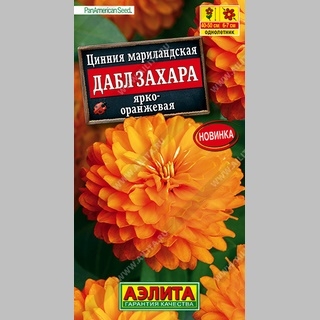 Цинния Дабл Захара ярко-оранжевая