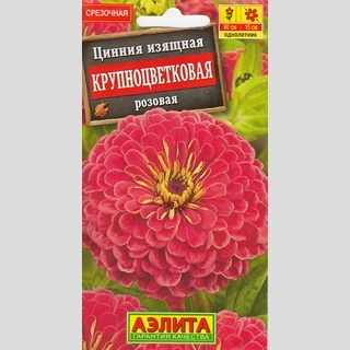 Цинния Крупноцветковая розовая