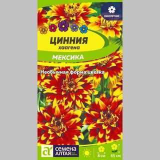 Цинния Мексика хаагена