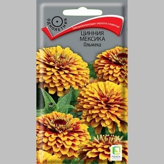 Цинния Мексика Ольмека