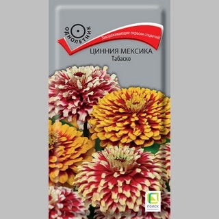 Цинния Мексика Табаско