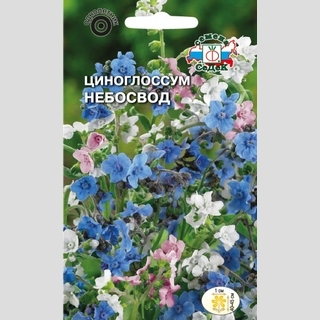 Циноглоссум Небосвод (чернокорень)
