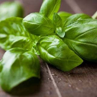 Базилик Цитрусовый Фреш