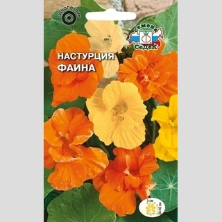 Настурция низкорослая Фаина (махровая смесь)