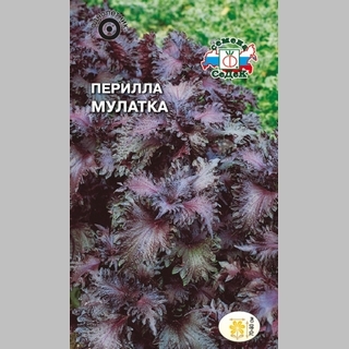 Перилла Мулатка