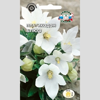 Платикодон Блюз (белый)