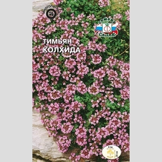 Тимьян Колхида