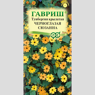 Тунбергия Черноглазая Сюзанна (крылатая)