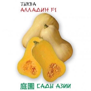 Тыква Алладин F1