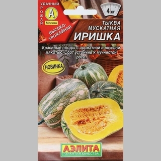 Тыква Иришка