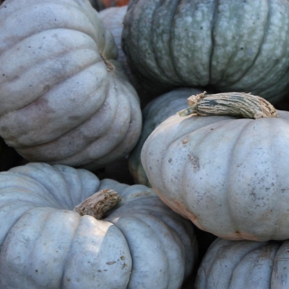 Тыква Карета для Золушки