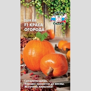 Тыква Краса Огорода F1