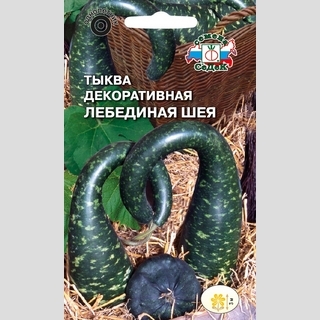 Тыква декоративная Лебединая шея (лагенария)