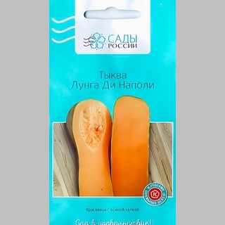 Тыква Лунга ди Наполи