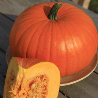 Тыква Мечта Кухарки