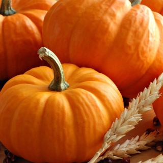 Тыква Медовая Каша