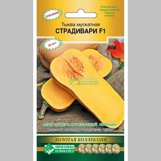 Тыква Страдивари F1