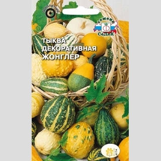 Тыква Жонглер декоративная