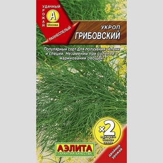 Укроп Грибовский