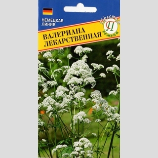 Валериана лекарственная