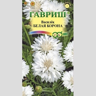 Василек Белая корона