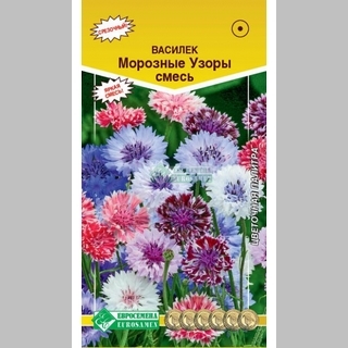 Василек Морозные Узоры смесь