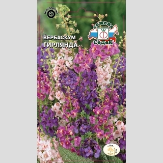 Вербаскум Гирлянда смесь