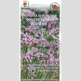Вербена Фиолетовый Туман бонарская