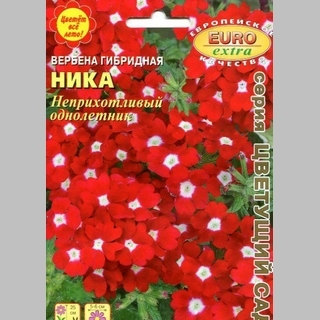 Вербена Ника