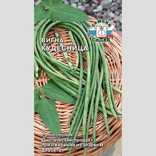 Вигна Кудесница