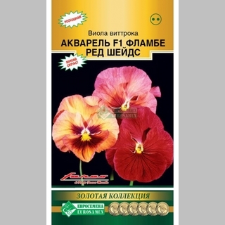 Виола Акварель Фламбе Ред Шадес F1 (Виттрокка)