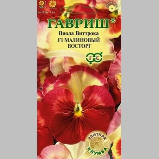 Виола Малиновый восторг F1 (Виттрока)