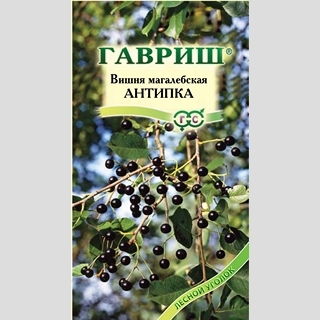 Вишня Антипка (махалебская)