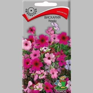 Вискария Нимфа (глазковая)