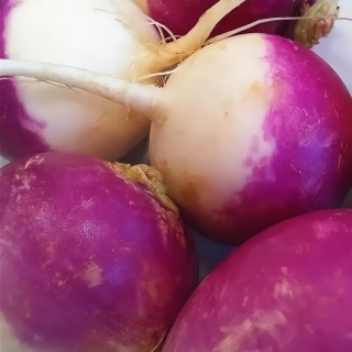 Репа Внучка