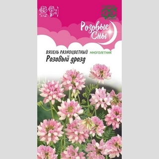 Вязель Розовый дрозд разноцветный