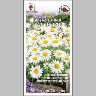 Леукантемум Белый бриз