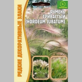 Ячмень гривастый (большой пакет)