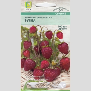 Земляника Руяна (Драже) ремонтантная