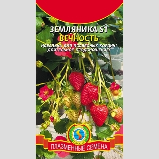 Земляника S1 Вечность