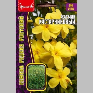 Жасмин Кустарниковый (большой пакет)